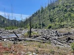FILE — Quartz Creek pictured May 18, 2026. The Eugene Water and Electric Board and the McKenzie Watershed Council worked together on a restoration project in the area.