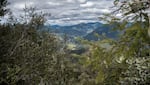 The view from London Peak Trail near the proposed timber sale North of Grants Pass, May 2, 2017.