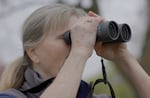 Katy Weil, senior natural resource scientist for Metro, observes a rare pairing of two geese from different species nesting together at Blue Lake Regional Park in this video screenshot taken April 16, 2025.