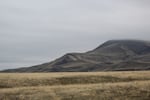 The gentle folds of Rattlesnake Mountain, or Lalíik, on the Hanford Reach National Monument rise into the dense fog in December 2023.