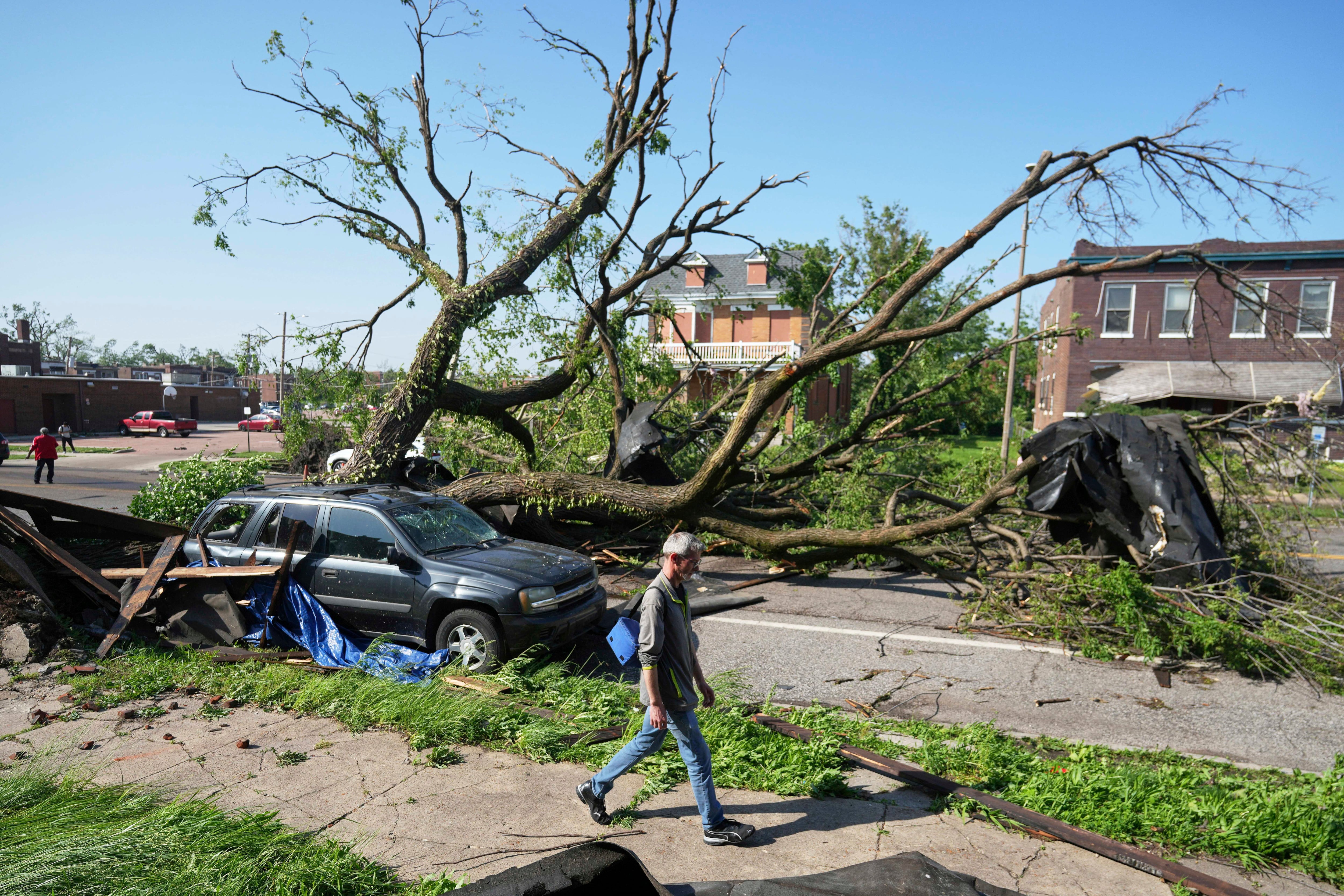 A person walks past a large tree blocking a road after a severe storm moved through St. Louis on Friday.