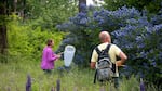 Michael O'Loughlin (right) leads the Yamhill County Oregon Bee Atlas team at Winter’s Hill Estate outside Dundee.