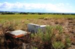 Many rural counties contain a number of remote, sagebrush cemeteries that are unmanaged. It's common for cows to break through fences to eat grass in the cemetery. Sometimes, tombstones become bovine. scratching posts.
