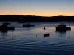 A lobsterman paddles out to his boat in a harbor in Maine. Climate change is disrupting ways of living with, and from, the ocean.