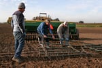 FILE: Jose Vasquez, left, Gayle Goschie, center, and Eloy Luevanos work to set up a harrow to be pulled behind a grain hopper and tractor in preparation for planting winter barley at Goschie Farms in Mount Angel, Ore., Tuesday, Oct. 31, 2023. Frequent heat waves, like the one that began in July, are shining a spotlight on the increasing stress and uncertainty the Oregon farmers are facing due to climate change.