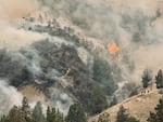 A hill covered in trees, smoke and fire.