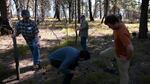 Loggers, environmentalists and scientists try to find common ground in the Malheur National Forest with a forest collaborative group called the Blue Mountains Forest Partners.