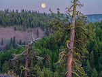 In July 2025, the moon rises over what may soon become the Qapqápa Wildlife Area to be co-managed by the Oregon Department of Fish and Wildlife and the Confederated Tribes of the Umatilla Indian Reservation. The state will own the land in Union County once it finalizes its real estate purchase using a federal grant.