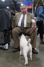 A Jack Russell terrier waits patiently for a treat. The Rose City Classic Dog Show was held at the Portland Metropolitan Exposition Center Jan. 15-19, 2020.