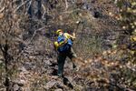 a firefighter wearing green pants and a yellow shirt swings a pulaski