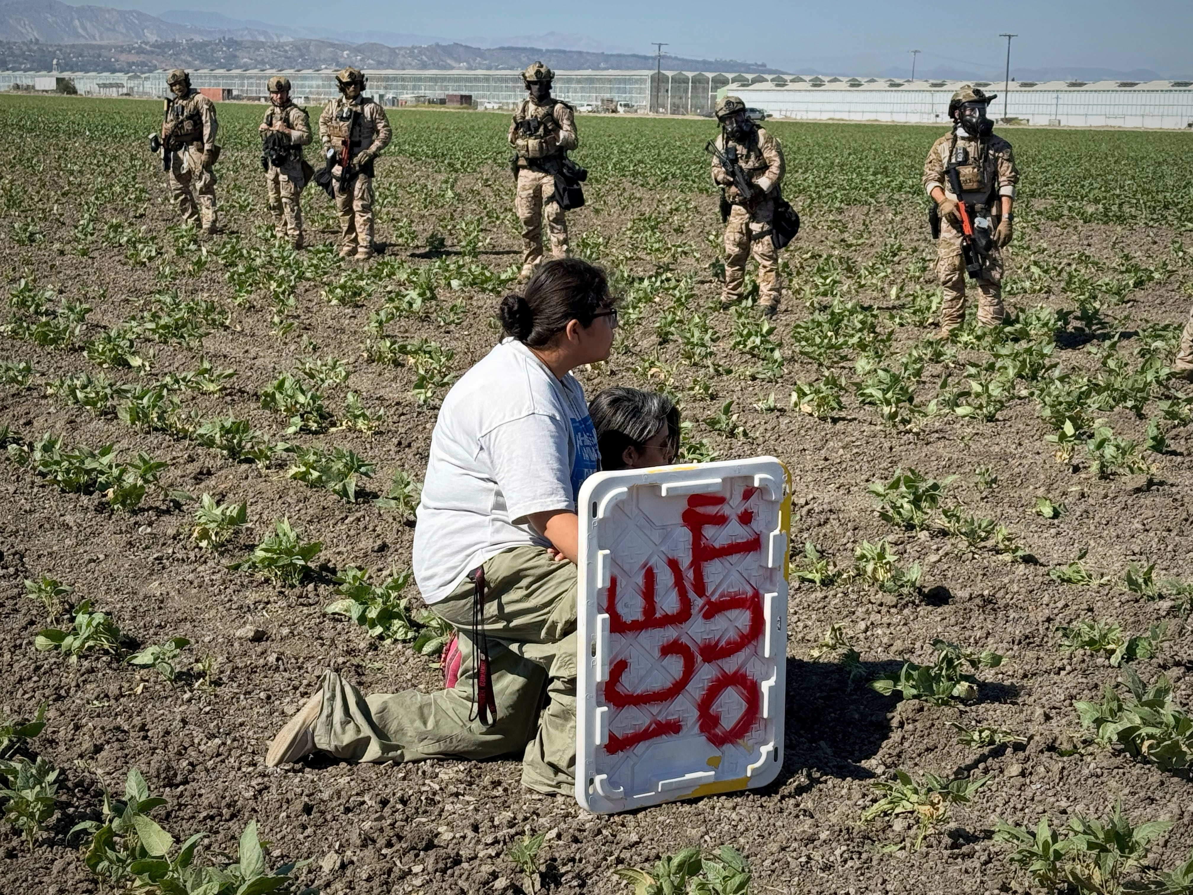 A demonstrator kneels in front of federal agents in a farm field during an immigration raid in Camarillo, Calif., Thursday, July 10, 2025.