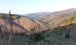 O&C Lands "checkerboard" in southwest Oregon four years after the Douglas Complex Fire.