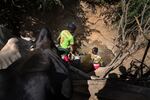 Morans pull groundwater from a pit for their waiting cows. Digging a makeshift well like this is often the only way morans can get their cattle a drink during the dry season.