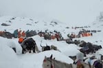 In this photo taken Oct. 4, 2025 and released by Lingsuiye, villagers with their oxen and horses ascend the mountain during rescue efforts to reach hundreds of hikers trapped by heavy snow at tourist campsites on a slope of Mount Everest in Tibet on Sunday, Oct. 5, 2025.