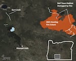 The extent of bull trout habitat in the Klamath Basin, according to the USFWS (in white and blue). A large portion of their habitat was impacted by the 2021 Bootleg Fire. Data/Imagery: USFWS, NIFC, NASA.