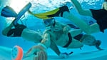 Portland's underwater hockey club meets every Tuesday at the Mount Hood Community College Aquatic Center. 