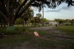 A pink swing hangs from a tree, Saturday, July 19, 2025, in Tampa. (Lexi Parra for NPR)