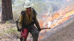 A member of the Wolf Creek Hotshots uses a drip torch to ignite the forest floor during a prescribed burn near Sisters, Oregon.