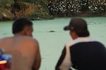 Locals relax as they watch hippos floating in a lake near Doradal, Colombia, April 23