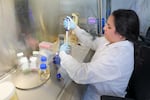 During the last year, Natalia Quintana Parrilla looked for means to better diagnose and treat breast cancer.