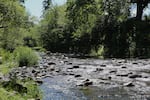 This fishing hole below Cedar Creek Hatchery, pictured on July 30, 2026, is open to the public and a popular spot to catch salmon as they return to spawn.