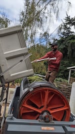 Cyler Varnum loads grapes into a wine press in Amity, Ore., Sept. 16, 2022.