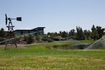 Sprinklers shoot into the air to water a large lawn, where there is also a pond and a small windmill. In the background is a house on a hill that overlooks the property.