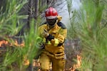 A firefighter creates a controlled burn to contain a fire area near Lege-Cap-Ferret, during wildfires in southwestern France, Thursday, July 30, 2026.