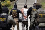 Four Immigration and Customs Enforcement agents walk a detainee out of the Ventura County Government Center in Ventura, California, on July 27. The individuals are photographed with their backs to the camera, and the detainee is handcuffed behind his back. The agents are wearing bulletproof vests that say "POLICE ICE" in yellow capital letters.
