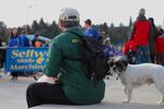 A man and his dog watch a parade roll down the new Sellwood Bridge, which was dedicated on Feb. 27, 2016.