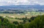 A landscape of farms and forests near Amity, Ore., June 16, 2022. 