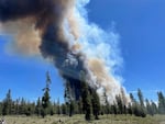 In this photo provided by the Deschutes County Sherriff's Office, smoke rises from a wildfire near La Pine, Ore., Tuesday, June 25, 2024.