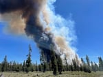 In this photo provided by the Deschutes County Sherriff's Office, smoke rises from a wildfire near La Pine, Ore., Tuesday, June 25, 2024. Gusty winds fueled a rapidly growing wildfire just outside the central Oregon community of La Pine and prompted evacuations.