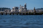 FILE - A bird perches across the Columbia River from Nippon Dynawave Packaging Co., where a May 26 chemical disaster occurred and contaminated the river, in Longview, Wash., on May 27, 2026. 