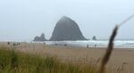 Haystack rock visible in the background with beach in the foreground on a rainy day