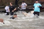 People dive into the frigid Willamette River for the annual Polar Plunge, which raises money for Special Olympics Oregon, on Feb. 21, 2026, in Portland, Ore.