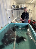 Brad Bailey is co-owner of the OoNee Sea Ranch and designed the recirculating aquaculture systems where urchins, sea cucumbers and valuable seaweed exist in a partnership that mimics the nutrient cycle of an Oregon reef.