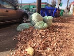 Bagged leaves and more fallen leaves waiting to be picked up on a Southeast Portland street.
