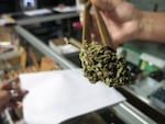 420Ville pays more than $100,000 a month in taxes. And it only opened seven months ago.