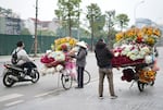 Flowers are on displayed for sale on Valentine's Day, Friday, Feb. 14, 2025 in Hanoi, Vietnam.