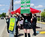 Starbucks workers picket outside their coffeehouse at Franklin Blvd and Villard Street in Eugene.