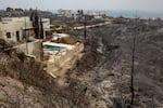 July 24, 2023: Burnt trees are seen next to a hotel near the village of Kiotari. Forest fires rage in Rhodes and other parts of Greece.