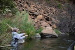 Cece Cole casts a line on the banks of the lower Deschutes River near Maupin, Ore., on June 17, 2022.