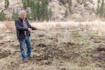 Carl Scheeler, wildlife program manager for the Confederated Tribes of the Umatilla Indian Reservation, shows saplings planted near Pendleton as part of a beaver restoration project on tribal land.