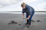 Seaview resident Andi Day digs for razor clams in Long Beach, using a clam gun passed down from her grandmother.