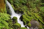 Voters in Hood River County approved a measure to block a proposal to bottle water from Oxbow Springs in Cascade Locks.