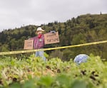 A scarecrow watches over a protest garden near the tracks leading to Zenith Energy's oil-by-rail terminal in Portland, Oregon, on Sunday, April 21, 2019.