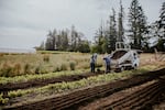 An undated image of workers at the CAMPO nonprofit cooperative farm in Hillsboro, Ore. The farm participated in a now-cancelled federally funded program that delivers locally grown food to lower income Oregonians at no cost.