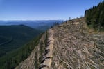 Logged trees lie in a section of the Prince of Wales Range near Campbell River, British Columbia, Sunday, May 31, 2026.
