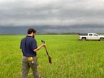 A farmer walks through his field of winter wheat and black oats carrying a shovel.